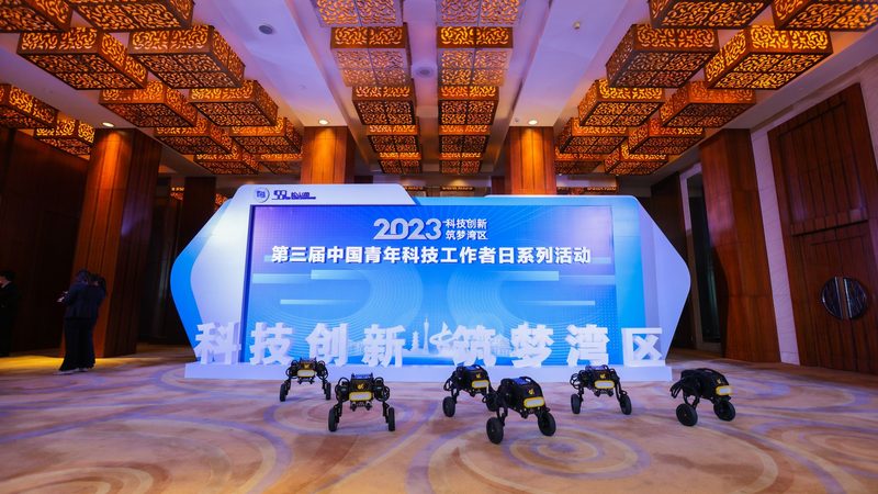 软件定制开发：深入解析其优缺点